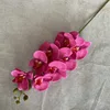 rosa-2