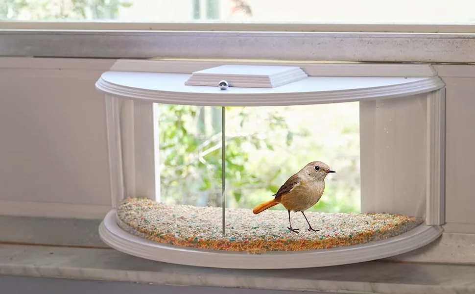 Arlmont & Co. Krick Window Tray Bird Feeder & Reviews