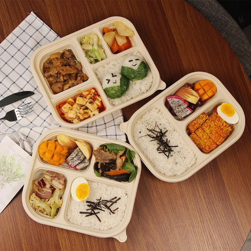 Box Packaging Food For Lunch Kids Leakproof 5 Compartment Boxes