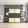 สีดำสีกากี