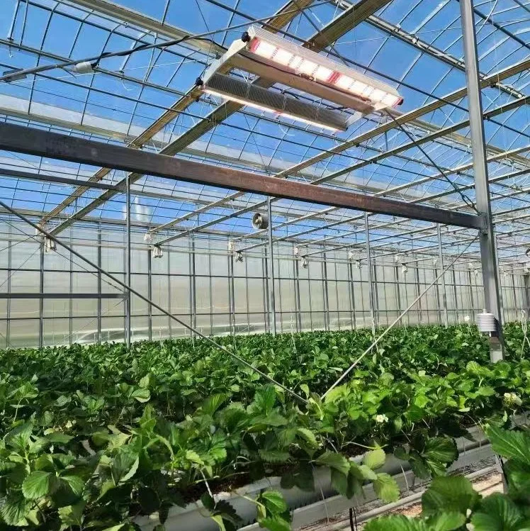 Dimmable Control Lm281b Lm301b Chips Full Spectrum Bars Plant System Veg Flower Stages 800w 600w IP65 Led Grow Light Strip manufacture
