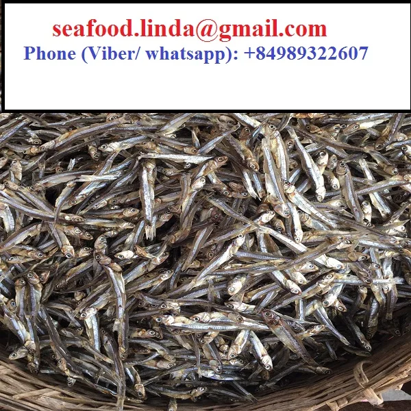 Dry Seafood Dried Fish Anchovy From Vietnam Cheap Price Oem Bulk