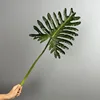 Green medium size