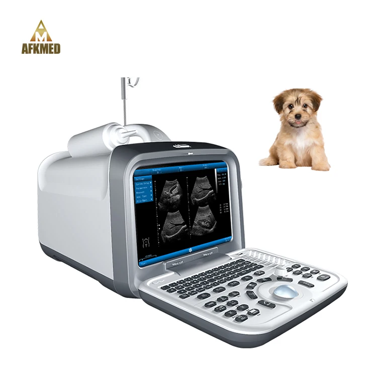 Hot sale 3d veterinary ultrasound dogs cats portable ultrasound medical scan machine