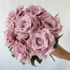 Violet-2