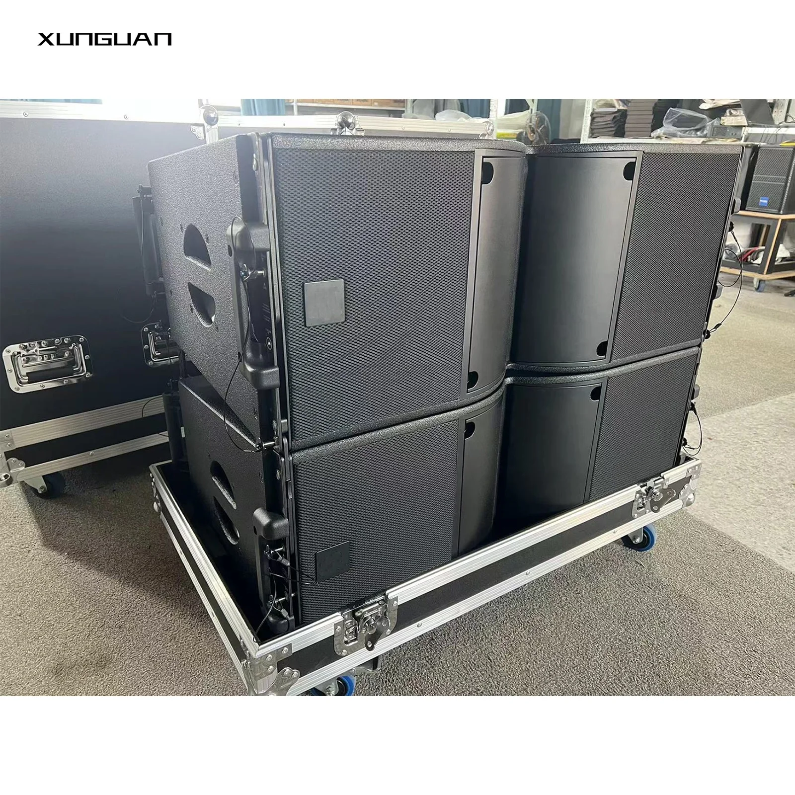 Acoustic KA210 Dual 10 Inch Line Array for Professional Sound