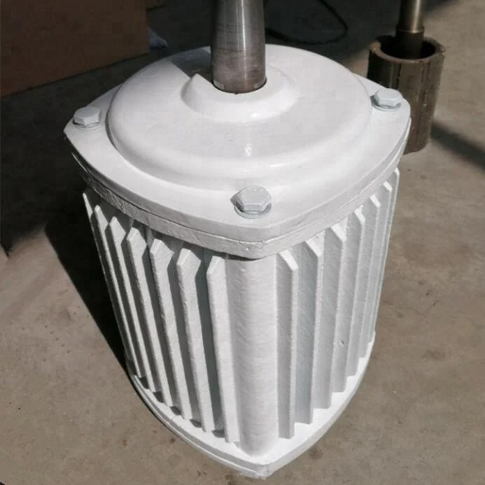 10kw 3 Générateur Synchrone à Aimant Permanent De Phase AC Low Speed Rpm Synchronous Permanent Magnet Generator Wind Water Hydro Power Eyoognsiy