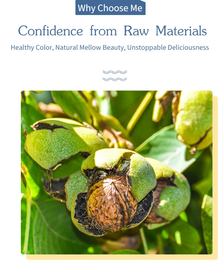 China Walnut Factory Wholesale Price Bulk Shelled Walnuts And Walnut