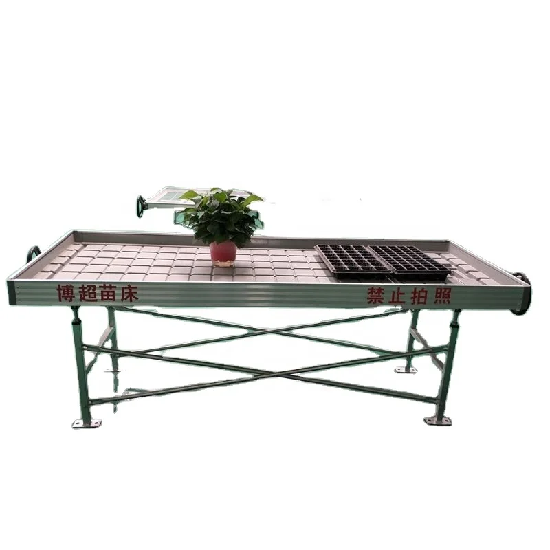 2022 Greenhouse Customized Table Ebb and Flow Tray 4x8 Grow Bench Automatic seedbed