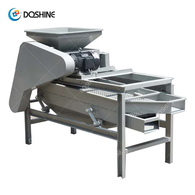 Palm Kernel Almond Sheller Separator Apricot Kernels Shelling