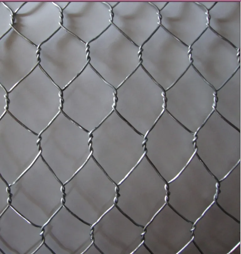 Galvanized Chicken Wire Mesh for Plaster