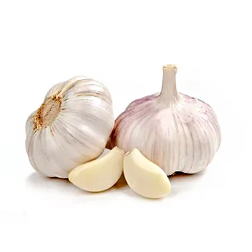 2020 Fresh Red Normal White Chinese Garlic