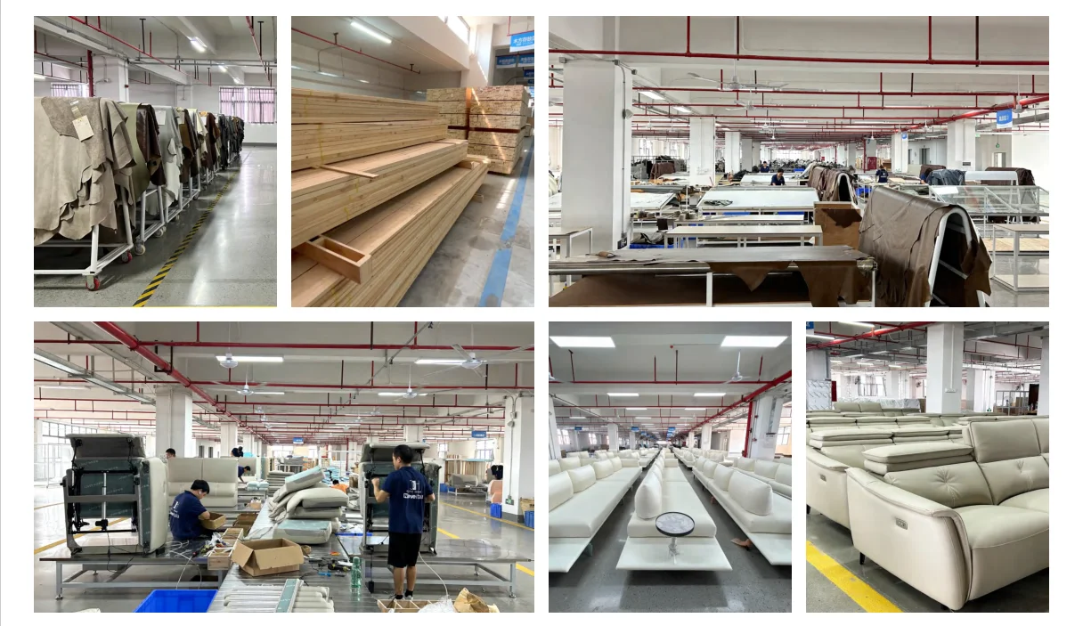 Evergo Furniture Co., Ltd. 1