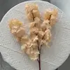Champagne