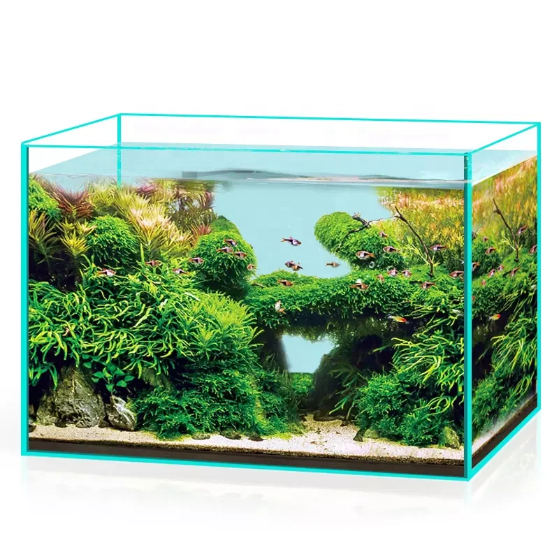 水槽 mellow1003 楽天市場】水槽 セット 小型 水族館 水槽 負圧逆さ水槽 水槽