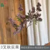 3-forked autumn fruit ZLZ purple