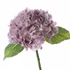 Morado oscuro pu1