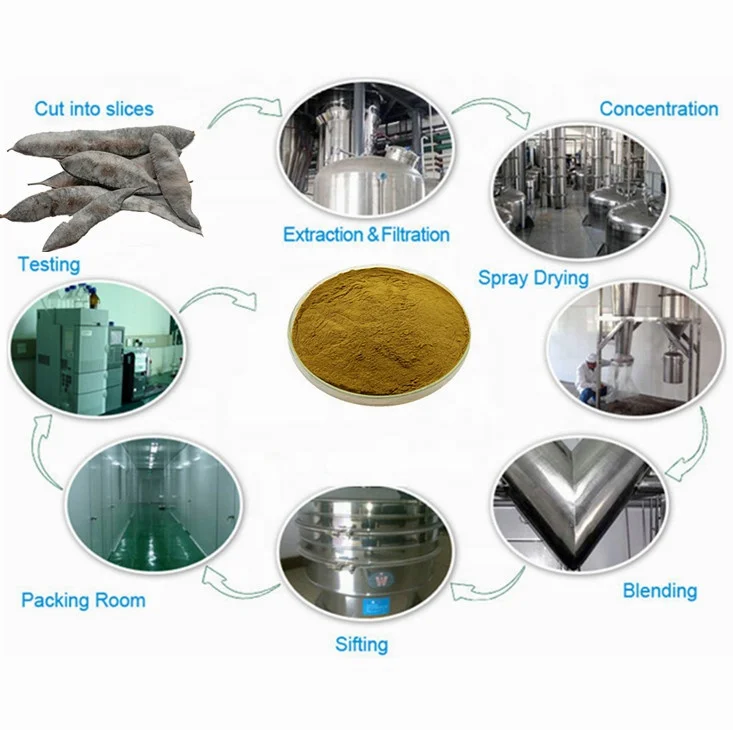 Most Powerful Shikakai Gleditsia Sinensis Extract Powder