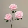 Rosa claro