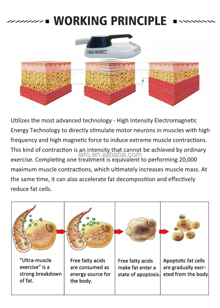 best selling products Laser 6d with EMS fat burning body contouring 635nm red light laser therapy HIEMT machine LF-354A