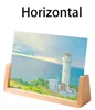 Beech-Horizontal