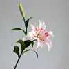 68cm rosa