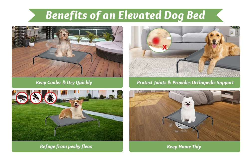 Elevated Dog Bed With Canopy For Raised Dog Cots Indoor Outdoor Pet Bed