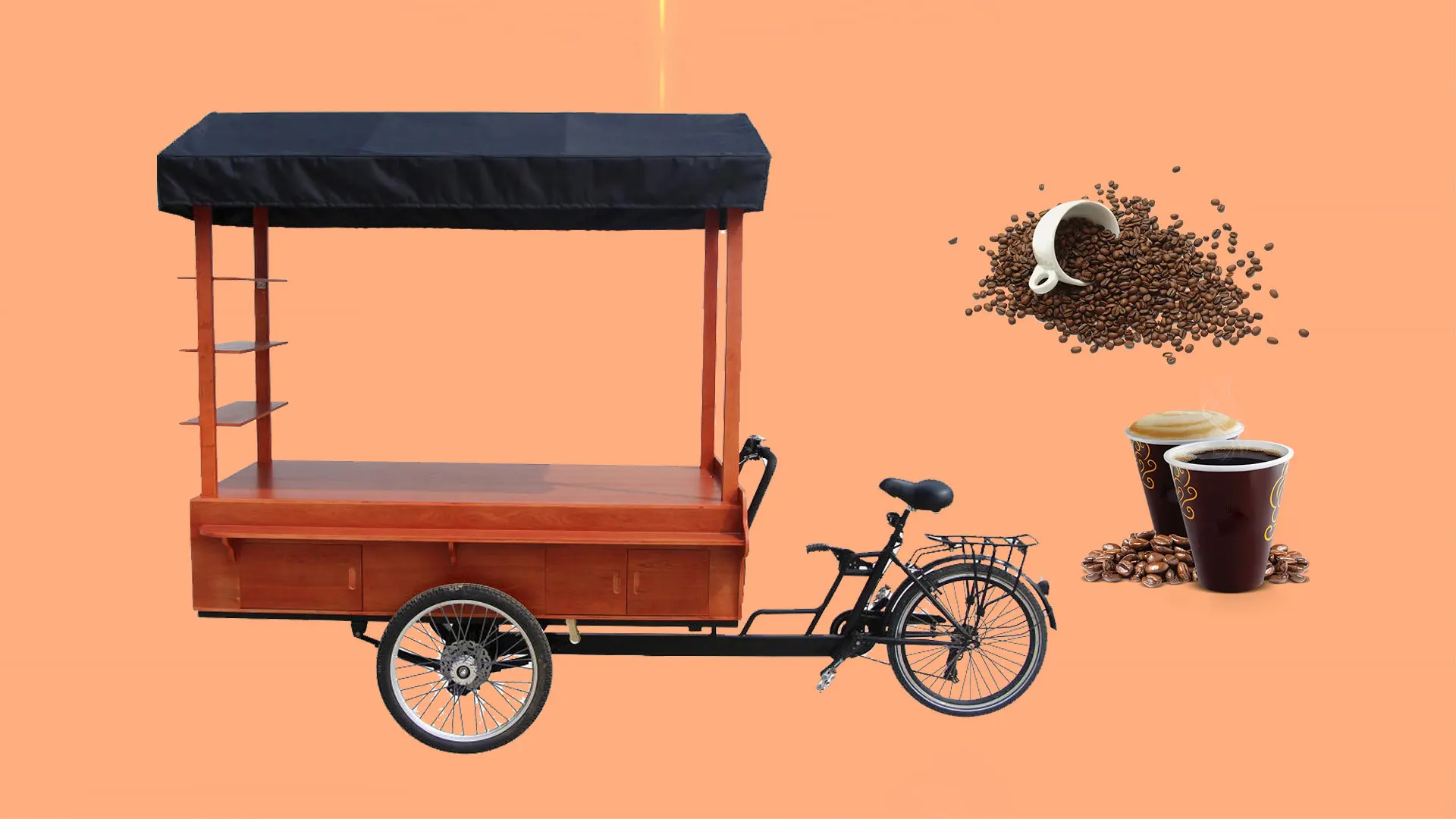 Oem 3 Wheel Classical Coffee Bike With Water Tank Cash Box Electric Tricycle Mobile Food Cart