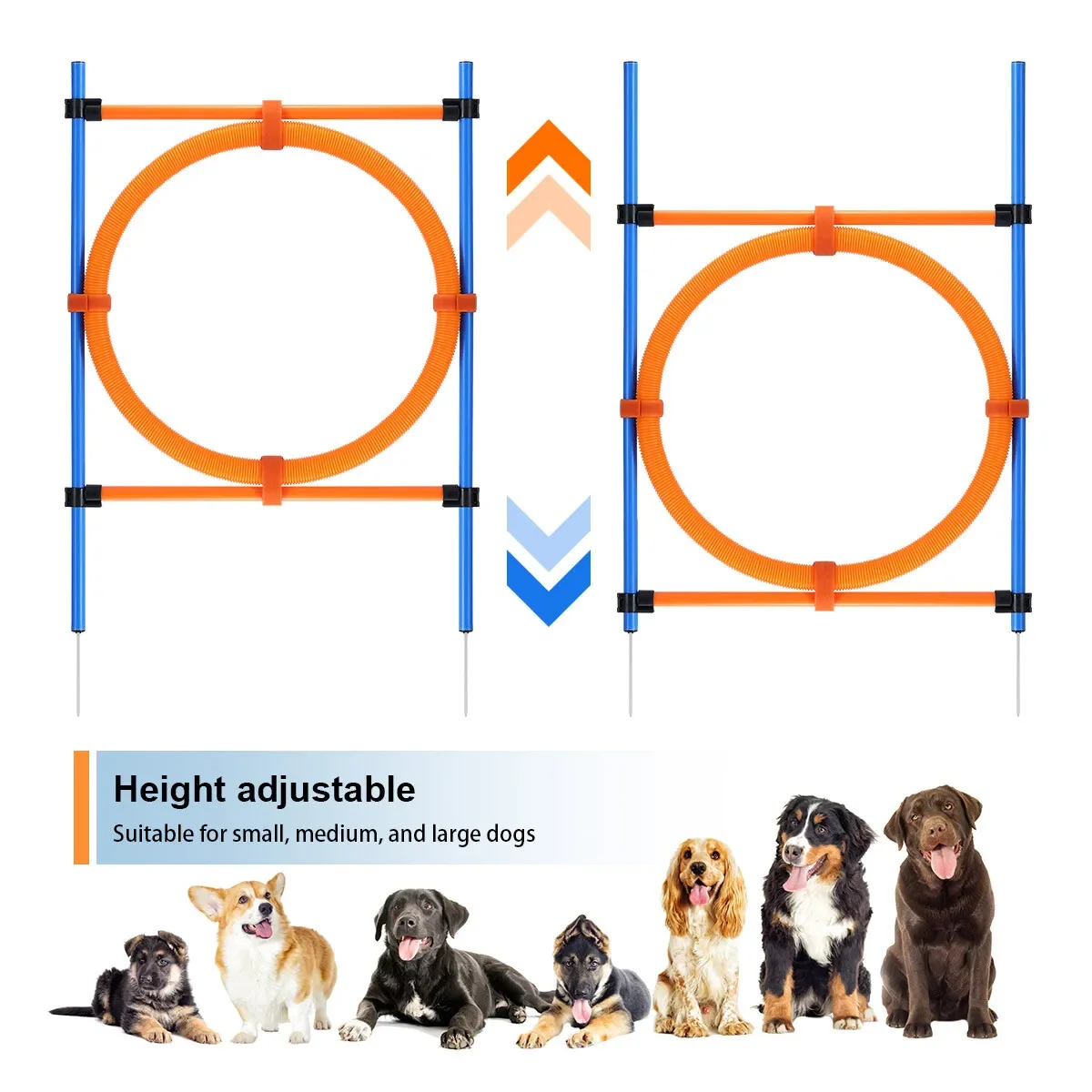 PAWISE Pet Dogs Outdoor Games Agility Exercise Training Equipment