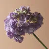 Pourpre