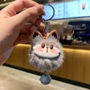 Gray cat