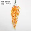 Orange (5-forked eucalyptus vine)
