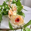 Premium Nine-Flower Champagne Color [2.3 meters] [1 piece]