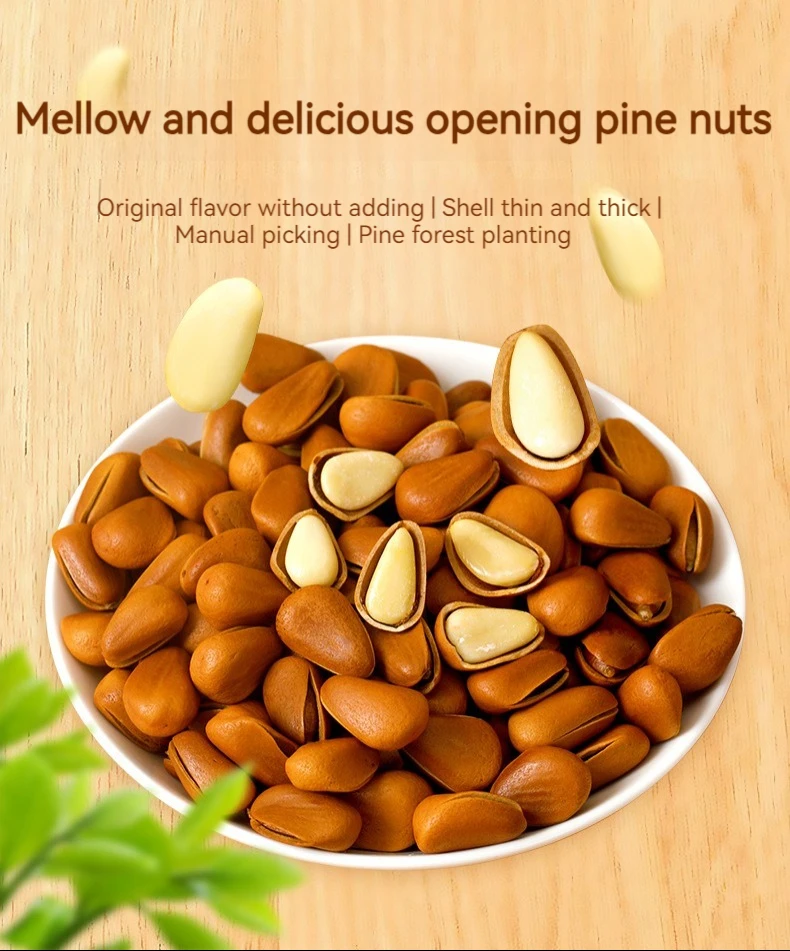Factory Direct Sale Pakistan Pine Nuts Oem Bulk Organic Healthy Snacks Pine Seeds Nuts Buy