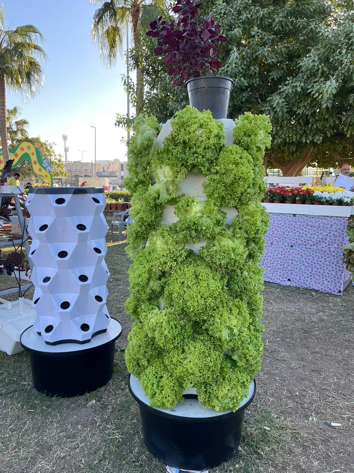 hydroponic strawberry tower