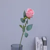 Cherry pink