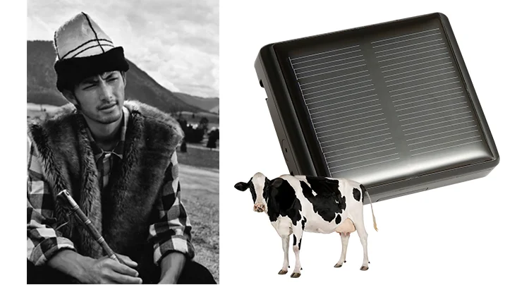 Solar GPS Tracker for Goat Tracking Device Camel GPS Tracking Device for Farm Animals Horse Solar Tracker Cow