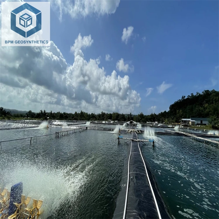 HDPE Geomembrane Liner 1mm HDPE Hydrogen Tank Liner
