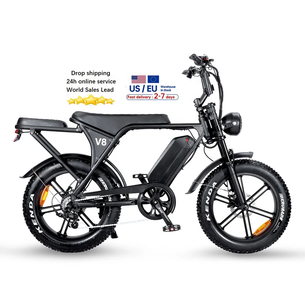 VOMO C80 Electric Bike 20 Inch Fatbike with 250W Motor
