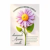 Purple-Daisy