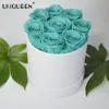 03 robin egg blue