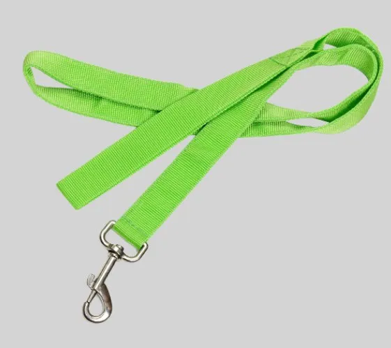 USB Rechargeable LED Light up Dog Leash With Different Colors Glow in Dark Pet Lead for Small Medium Dogs