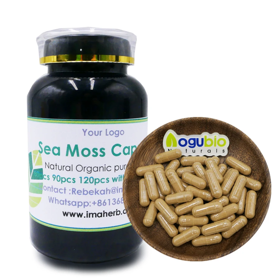 Organic Sea Moss Plus Bladderwrack Burdock Root Pure Sea Moss Capsule Buy Sea Moss Plus Sea 