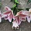 13# Pink, B17 3 head feel tianxiang lily powder