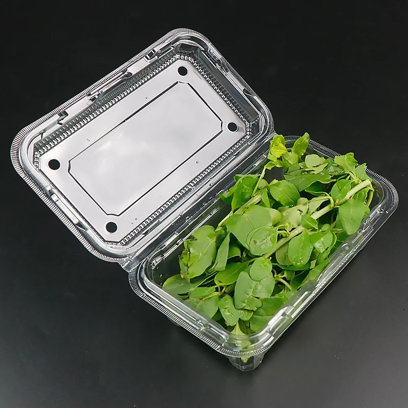 400g Biodegradable Customized Plastic Clear Fresh Herb Clamshells