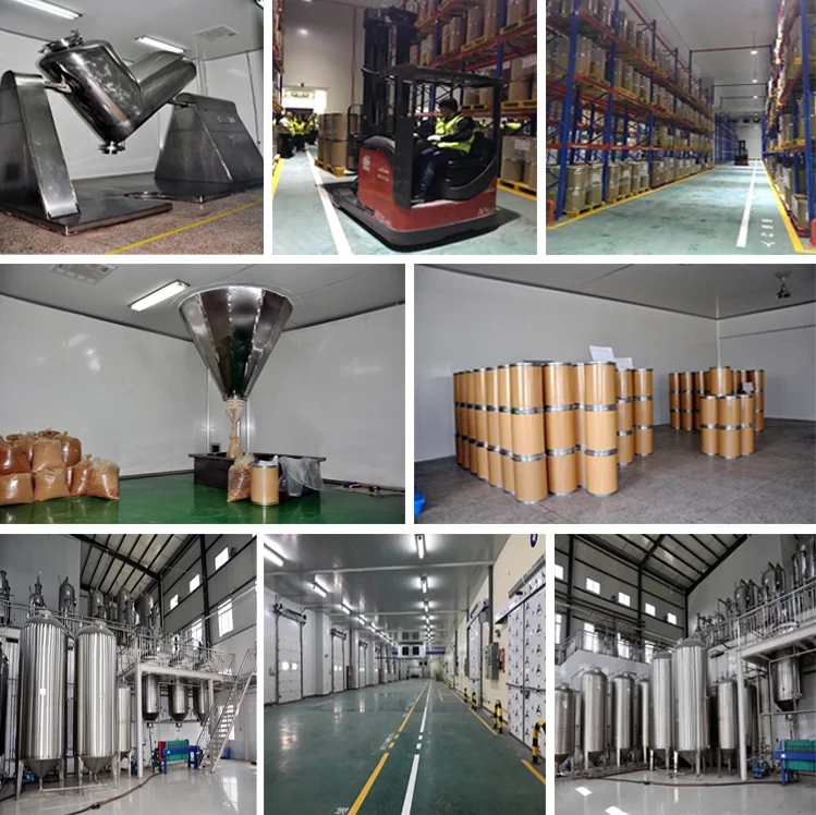 Griffonia Seed Extract 5HTP Powder in Griffonia Simplicifolia Plant
