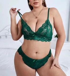 2022 Plus Size Bow Floral Lace Lingerie with Embroidery Firm Control ODM Custom Lingerie for Chubby Women