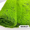 Lámina verde cubierta de musgo (1*1 metro)