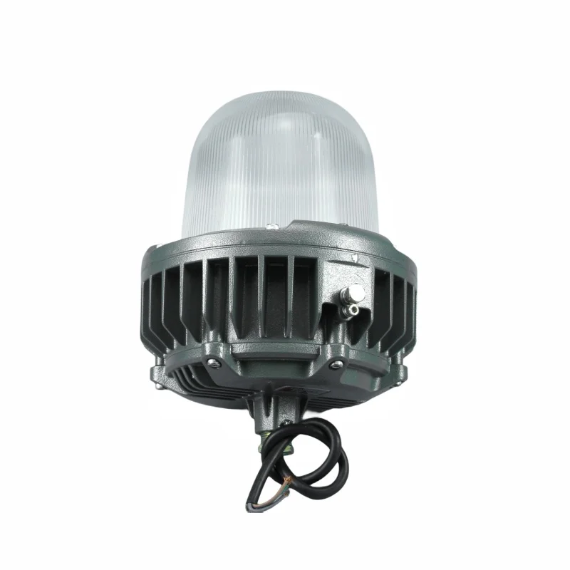 IP66 IP67 FLP WP Customizable Tempered 30W 10W DC12V 60W 50W ATEX Explosion Proof Pendant Hanging Light With Glass Globe Cage