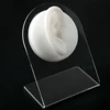 Oreja derecha blanca